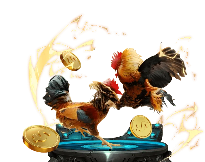 Quà tặng sinh nhật và lễ tết ev88bet